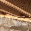 Is Joist Still Free? The Truth Behind the Changes